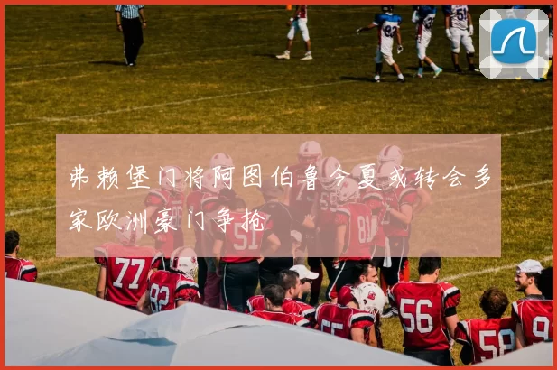 弗赖堡门将阿图伯鲁今夏或转会多家欧洲豪门争抢