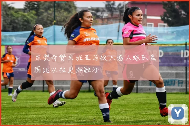 东契奇赞文班亚马投入感人球队氛围比以往更加融洽